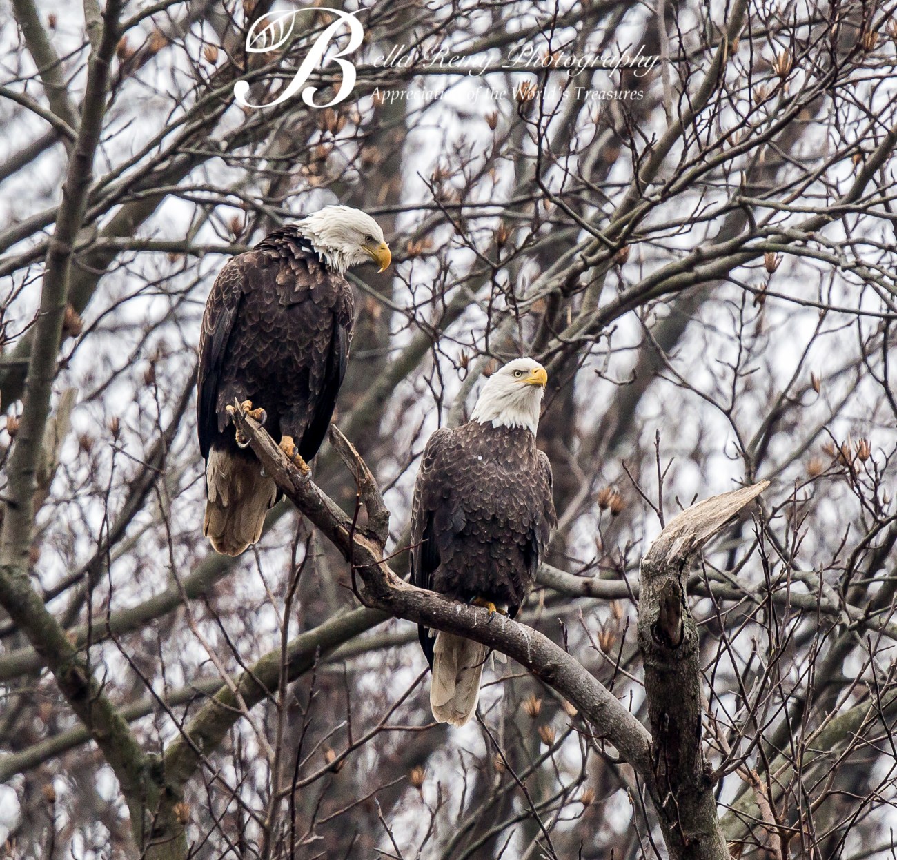 Excuse me..did you just say something?