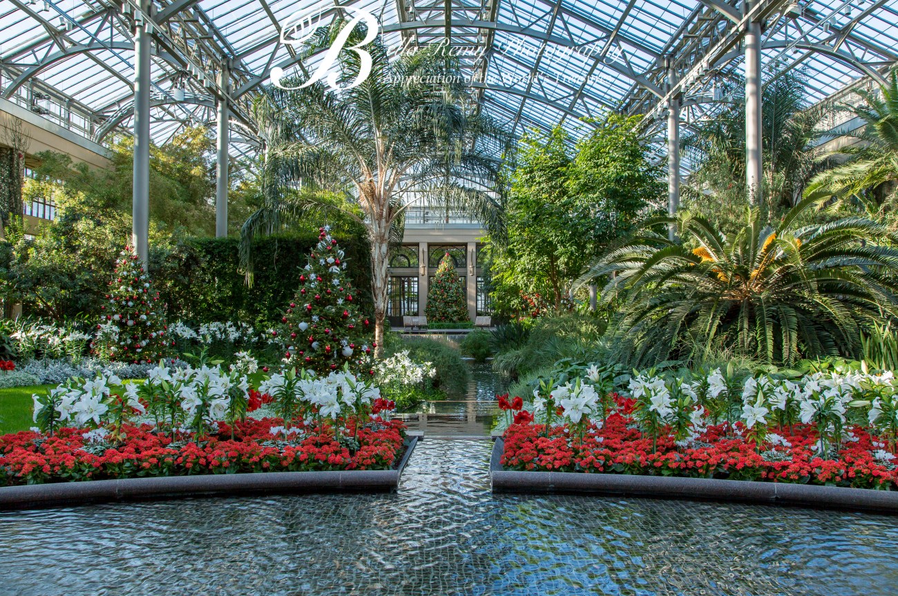 Longwood18nov13-1189