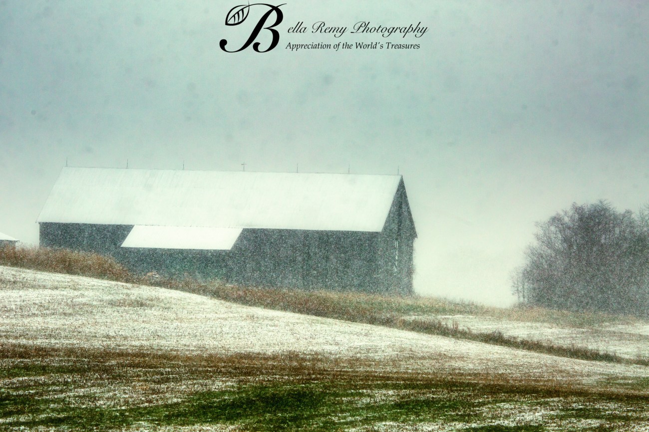 untitled shoot-9750-Edit