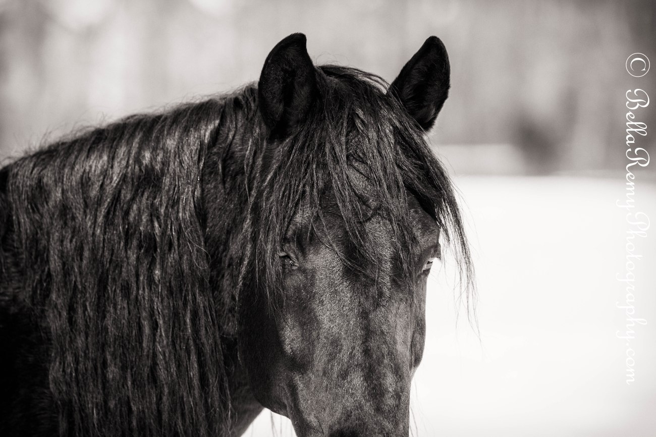 ehc18feb14-5013-Edit