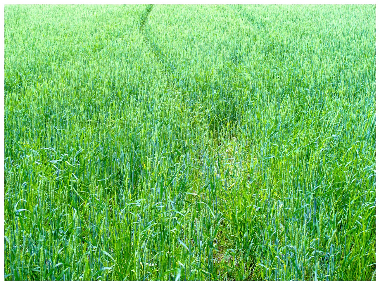 Merkle13may13-2412-Edit