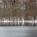 KF3mar14-7474