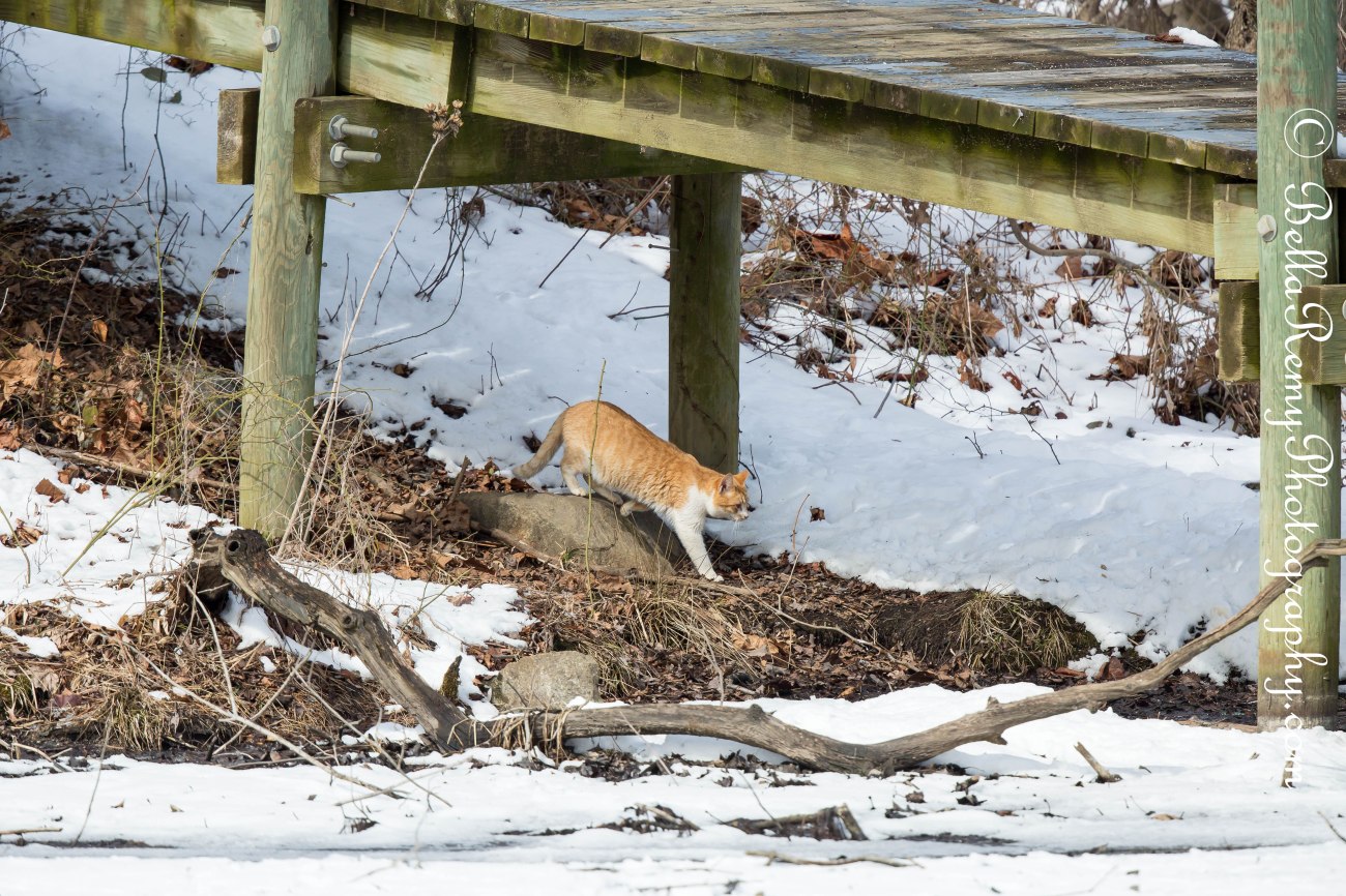 schlhsepnd5mar14-6574