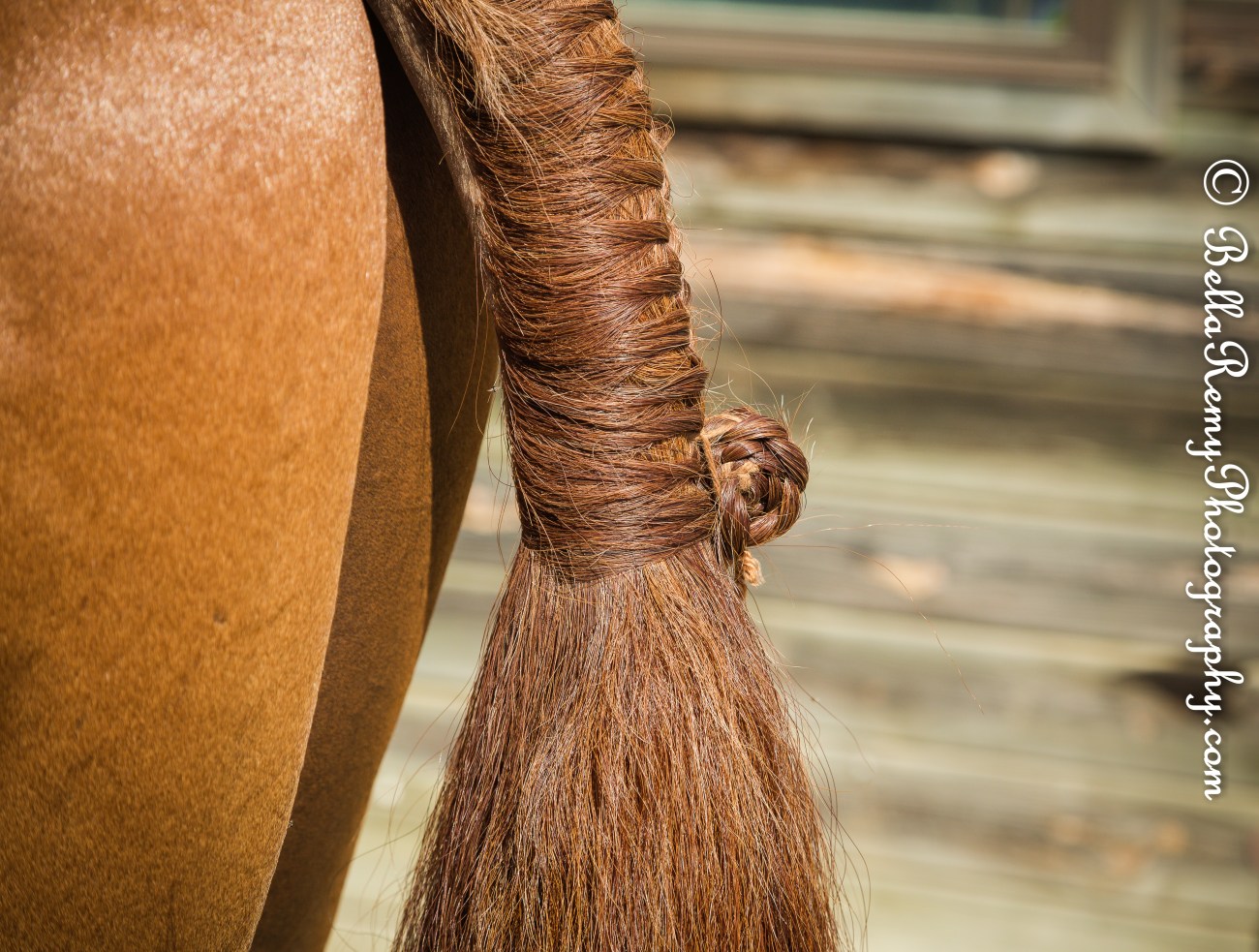 MDStFair27aug14-8584