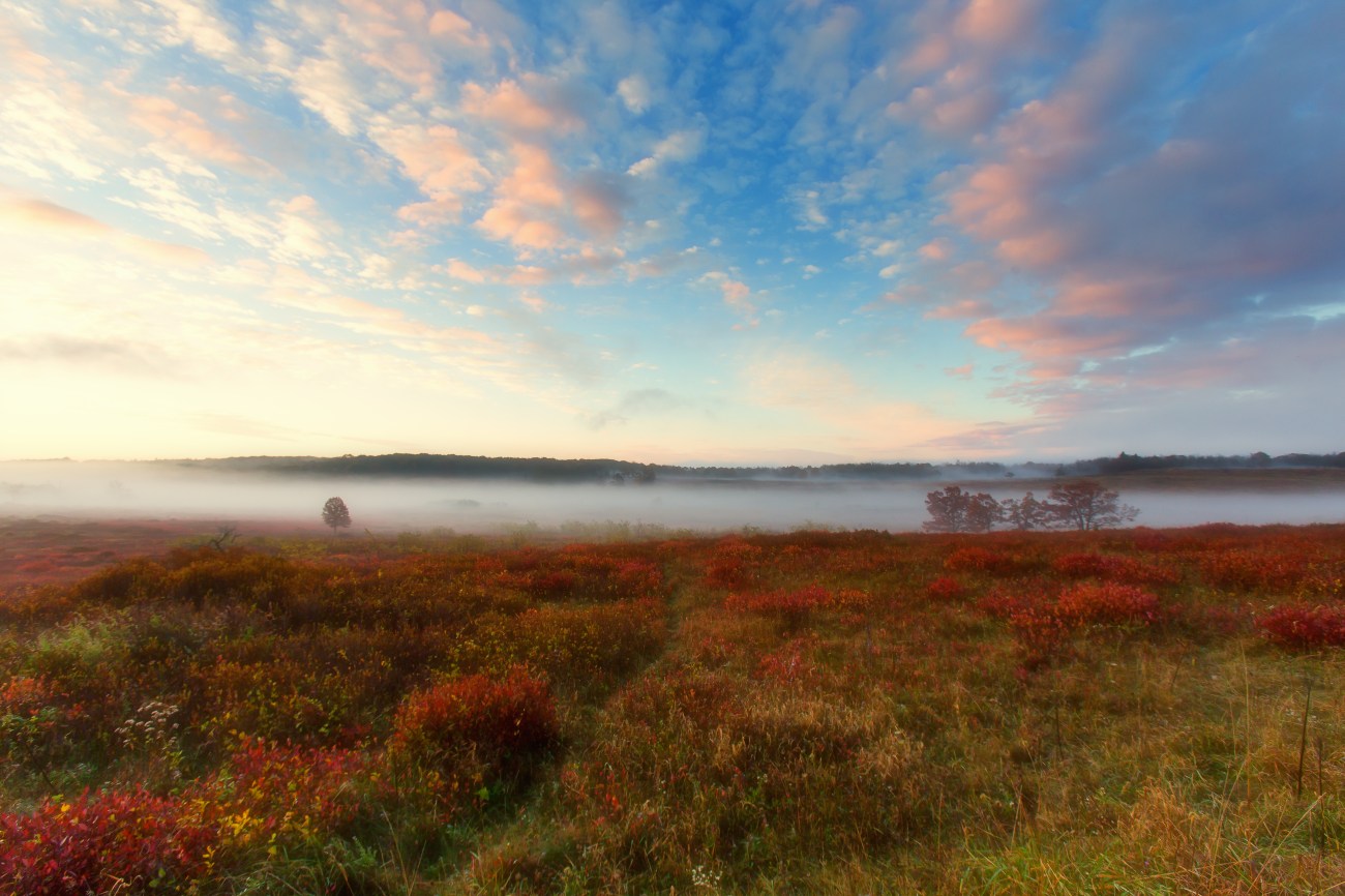 Shenan16oct14-8458-Edit