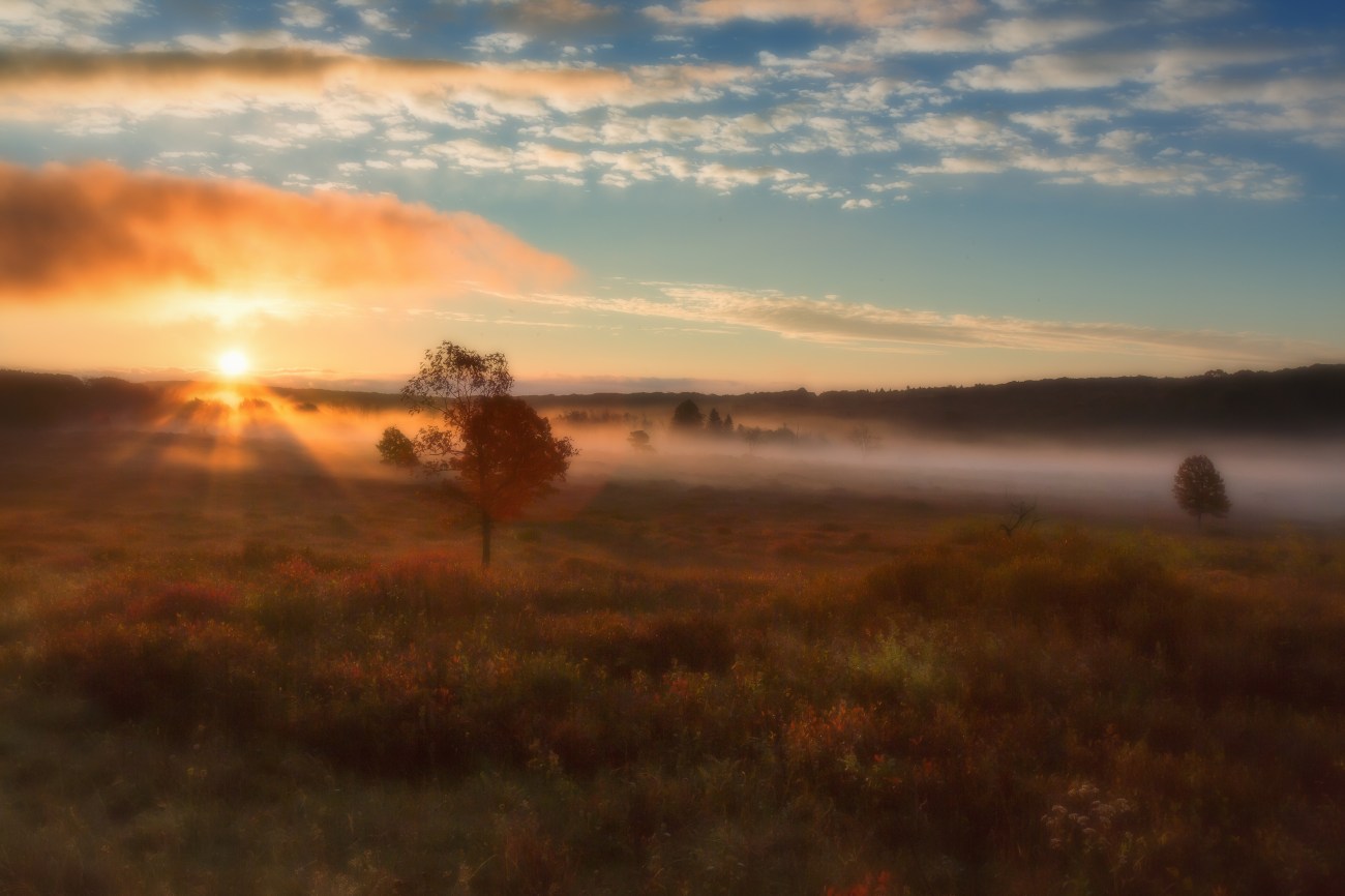 Shenan16oct14-8469-Edit