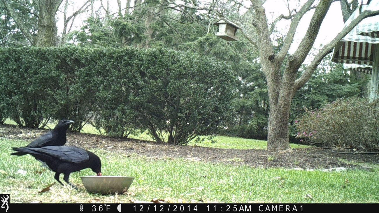 1125:121214:36F:CAMERA1   :6