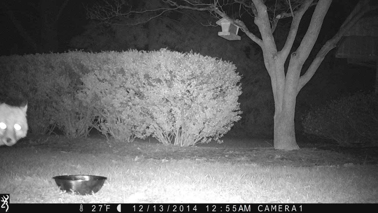 0055:121314:27F:CAMERA1   :6