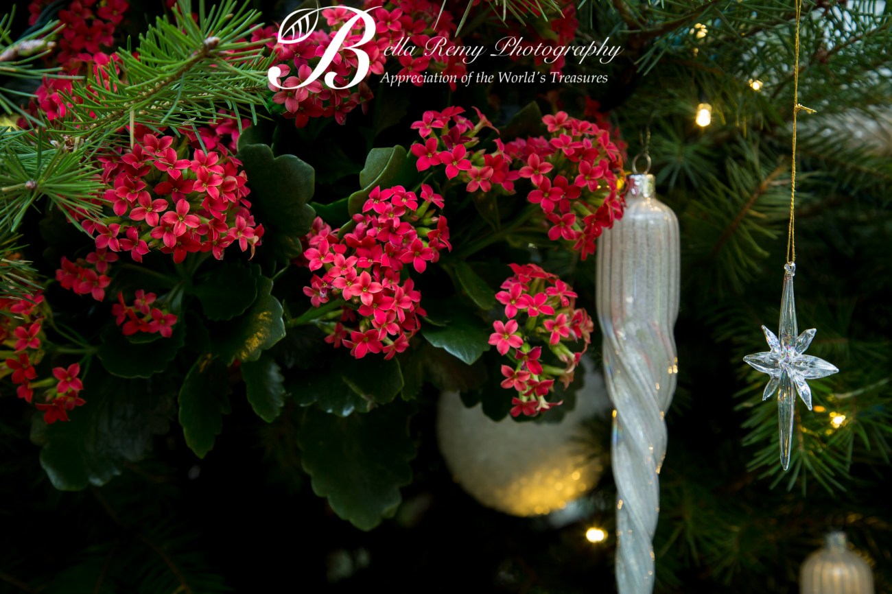 Longwood18nov13-1216