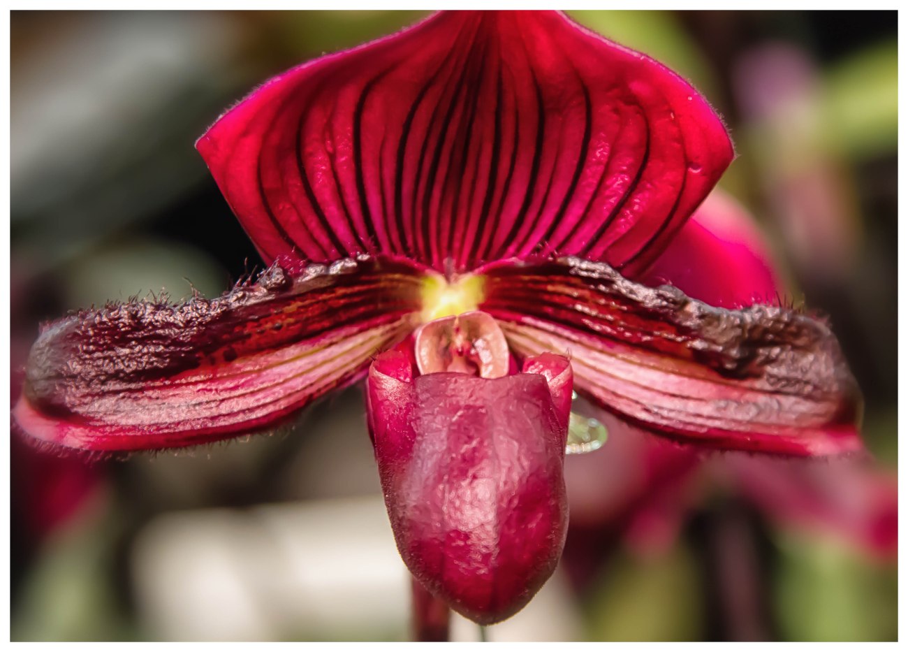 HGSBWI08mar13-7396-Edit-Edit