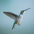 mm1sep14-6619