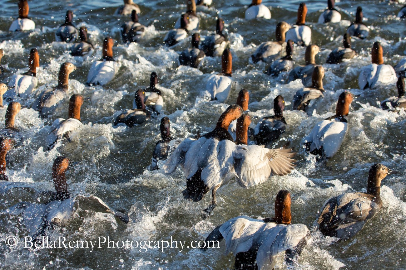 cambridge4feb15-2851