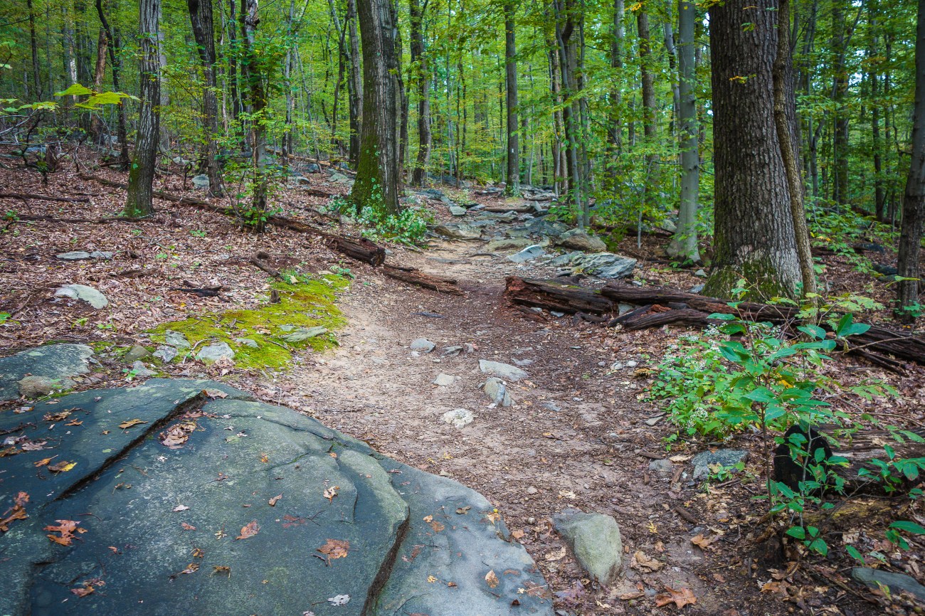 HarpersFerry1oct14-00962