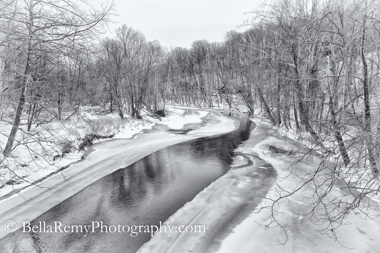 PVSP23feb15-4452-Edit