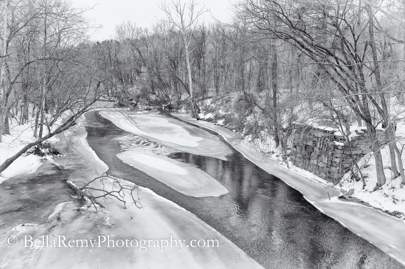 PVSP23feb15-4453-Edit