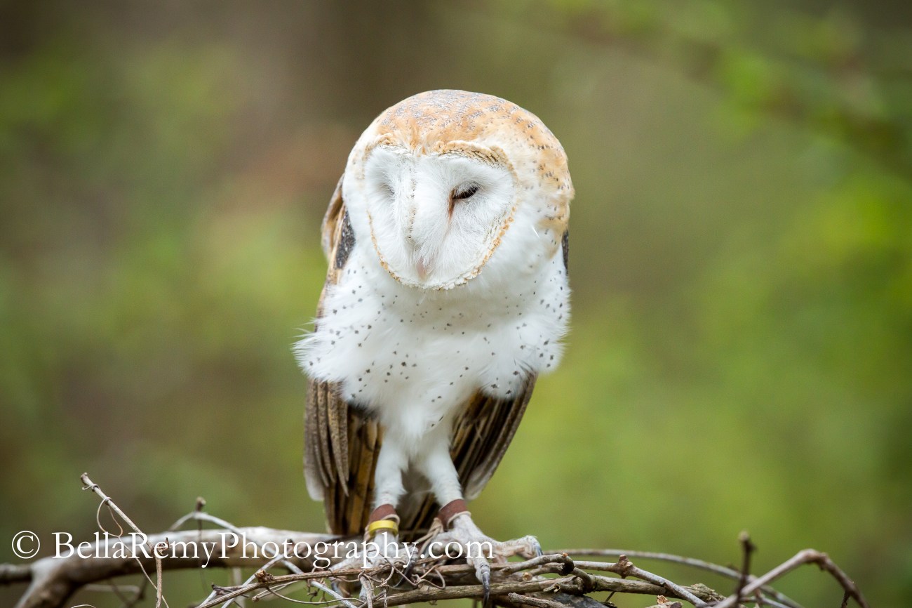 CarrieNtrCtr25apr15-6472