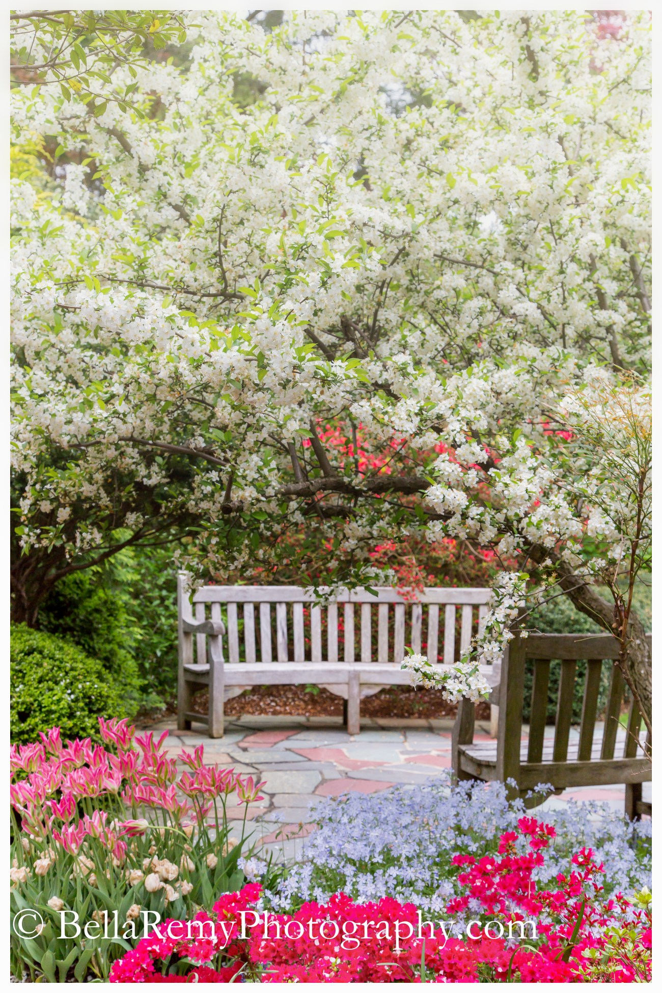 Hillwood1may15-6378-Edit