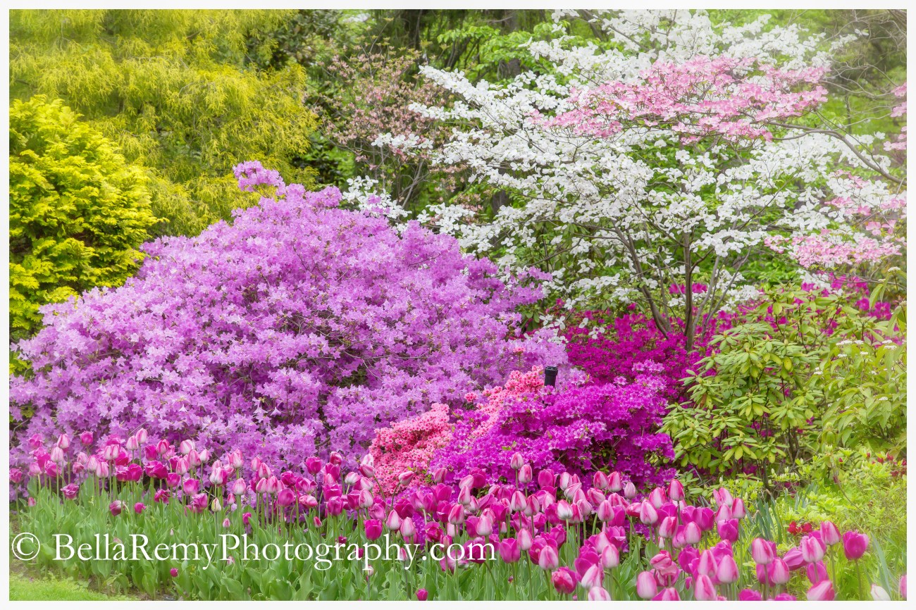 Hillwood1may15-6393-Edit