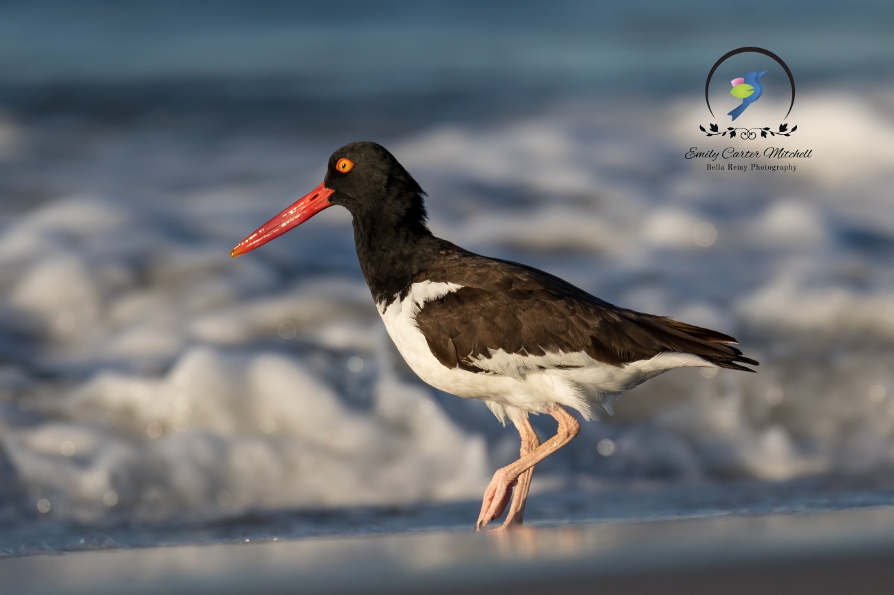 nickny22jul15am-0506