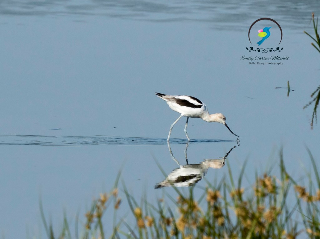 BBH16aug15-0933-Edit-2