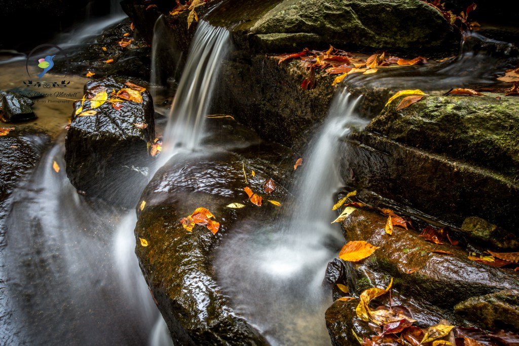 CarrieMurray24oct15-5321