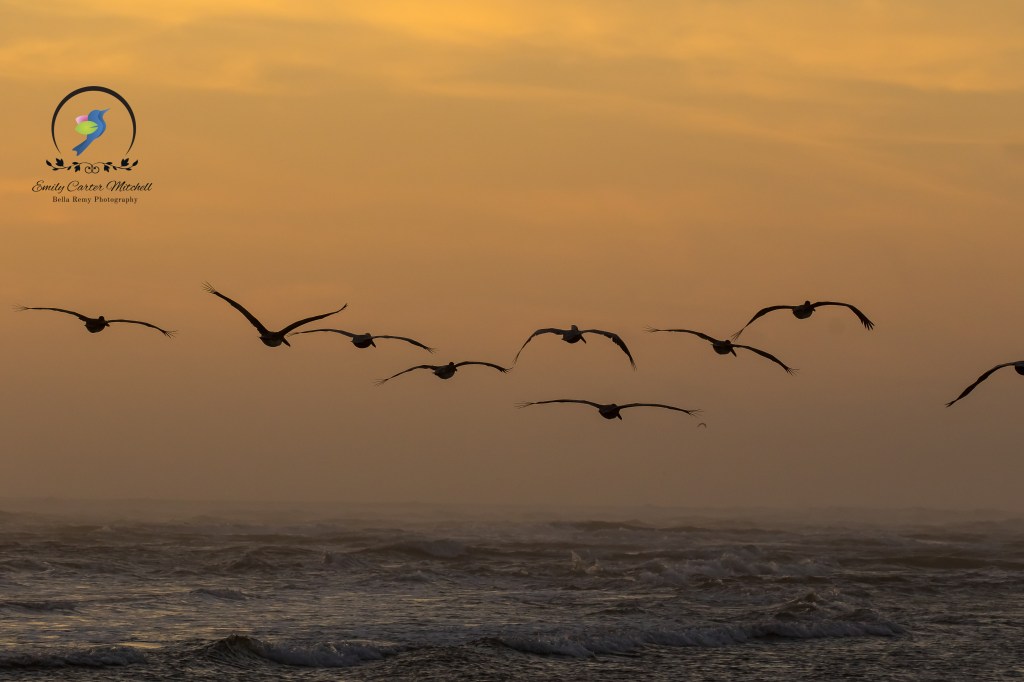 St Augus14dec15-8544