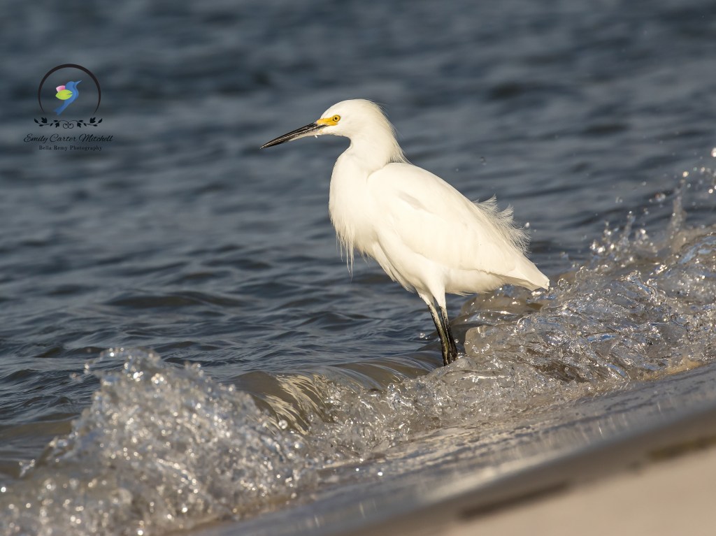 St Augus14dec15-9233