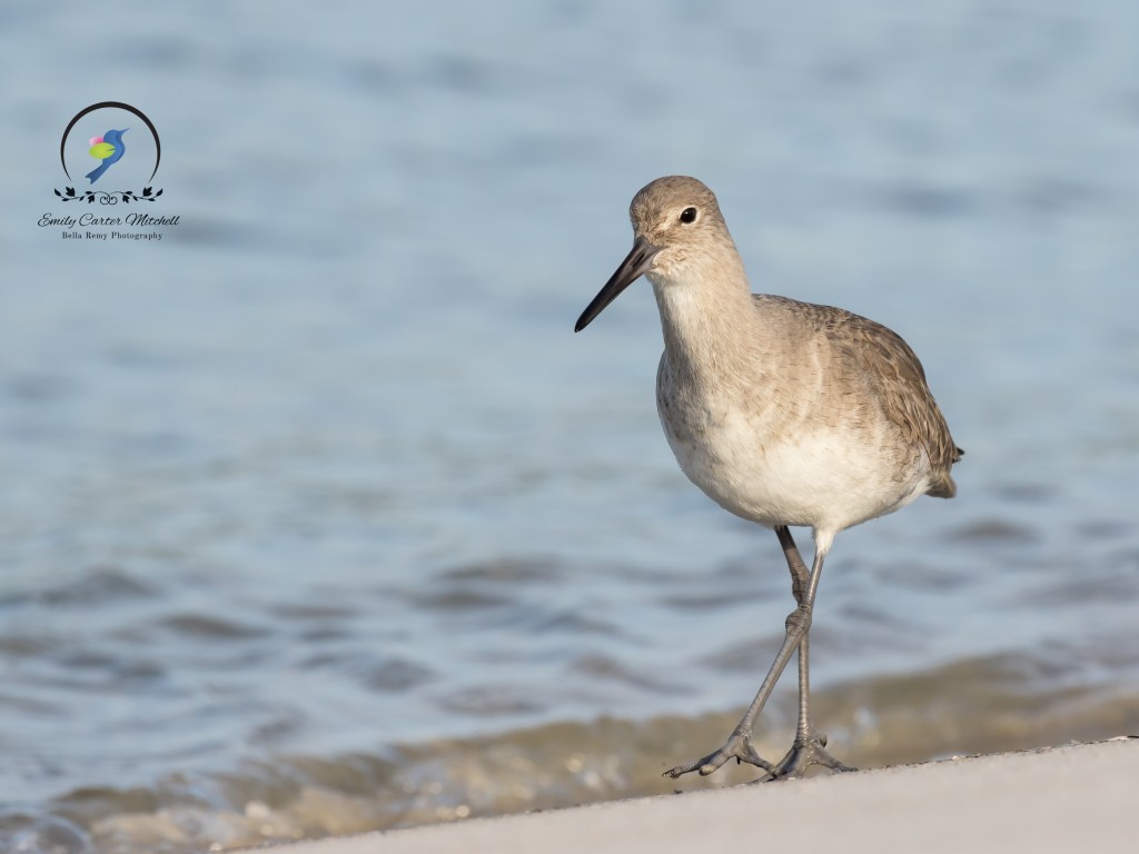 St Augus14dec15-9202