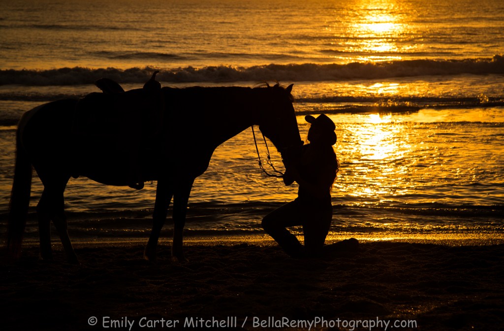 BchHorse27apr16-0550