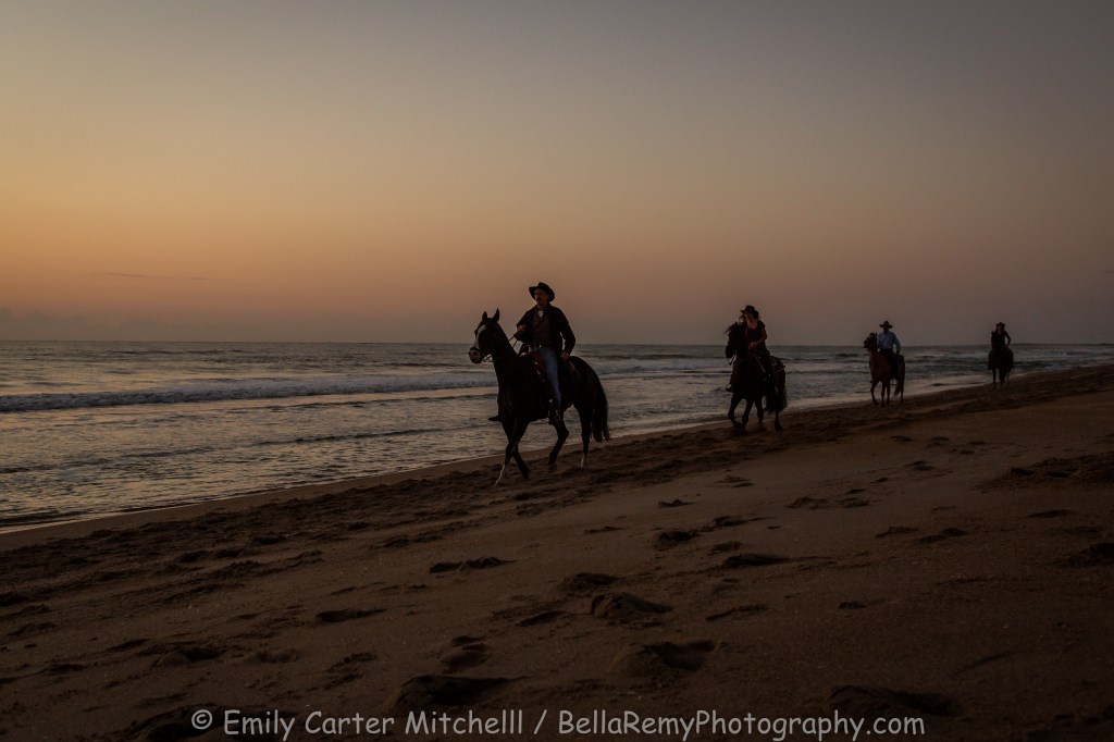 BchHorse27apr16-9967