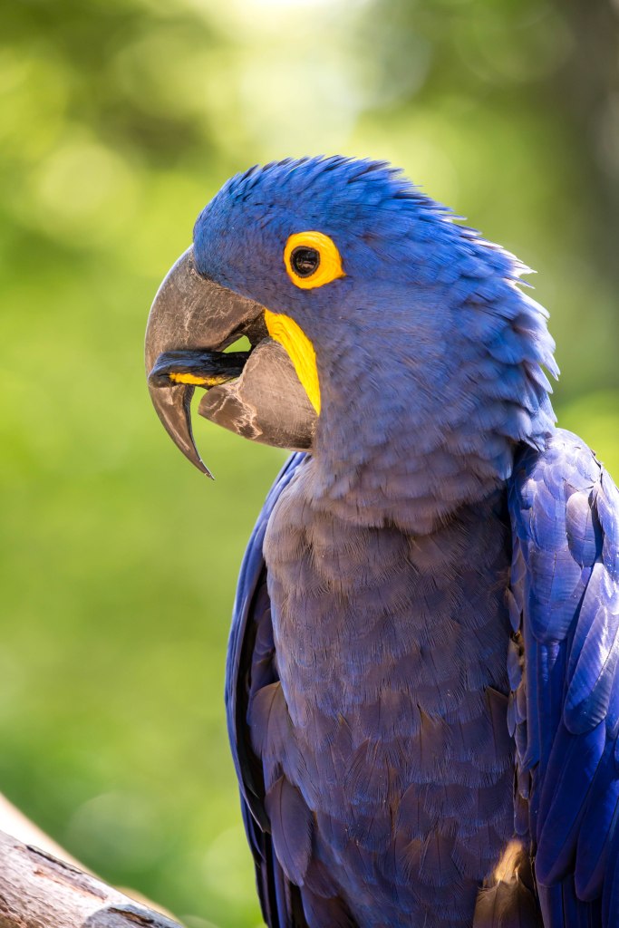 Catoctin20jul16-1402