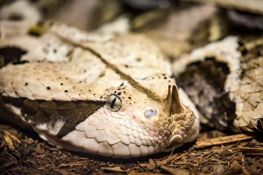 Catoctin20jul16-1535