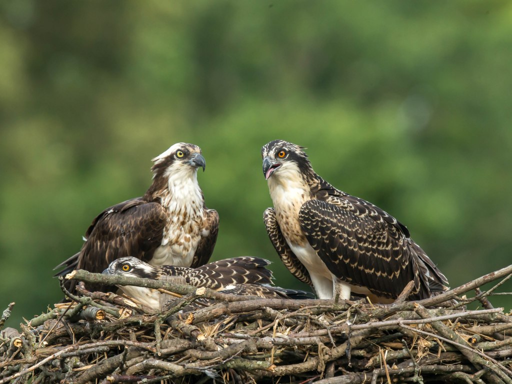 Esperanza (left) with her daughter Elena (right)
