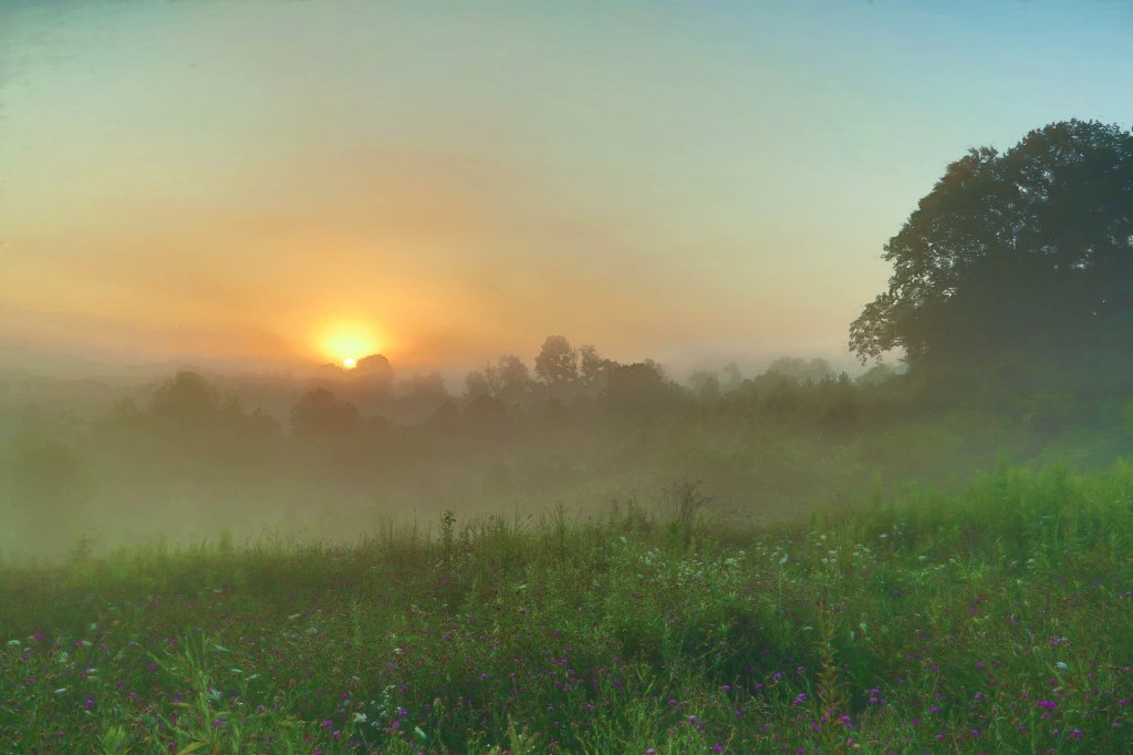 hcc20aug16-2776-Edit