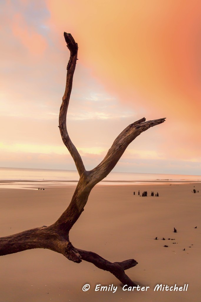 fripp23sep16-5407-edit