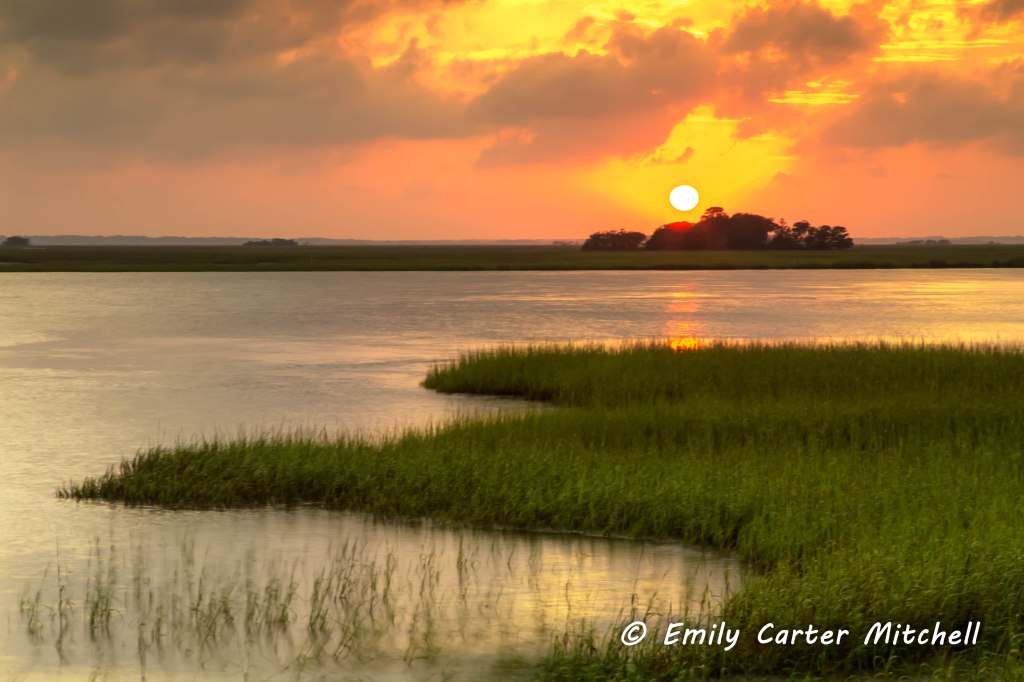 fripp25sep16-5739-edit