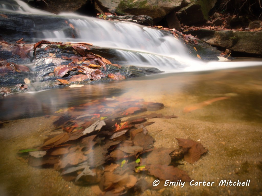 pvsp30oct16-5517-edit