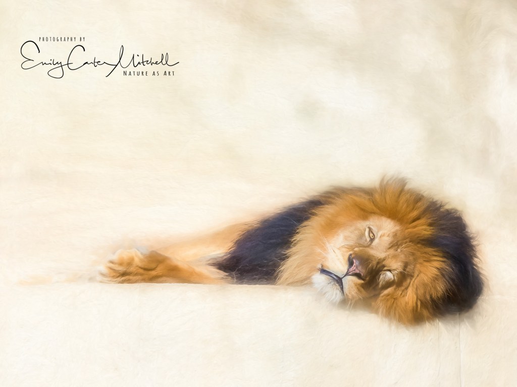 natlzoo8feb17-2182-3