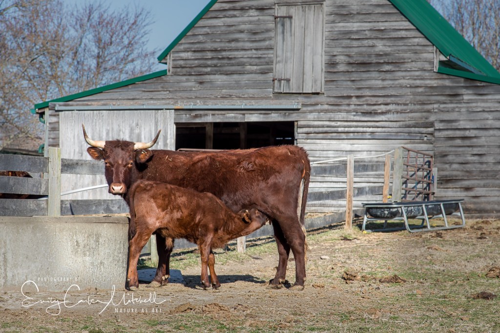 piscataway24feb17-7533-edit