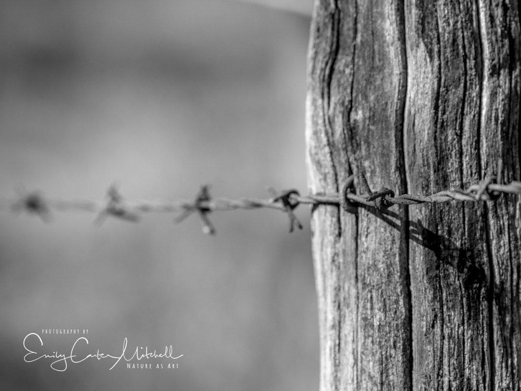 piscataway24feb17-7711