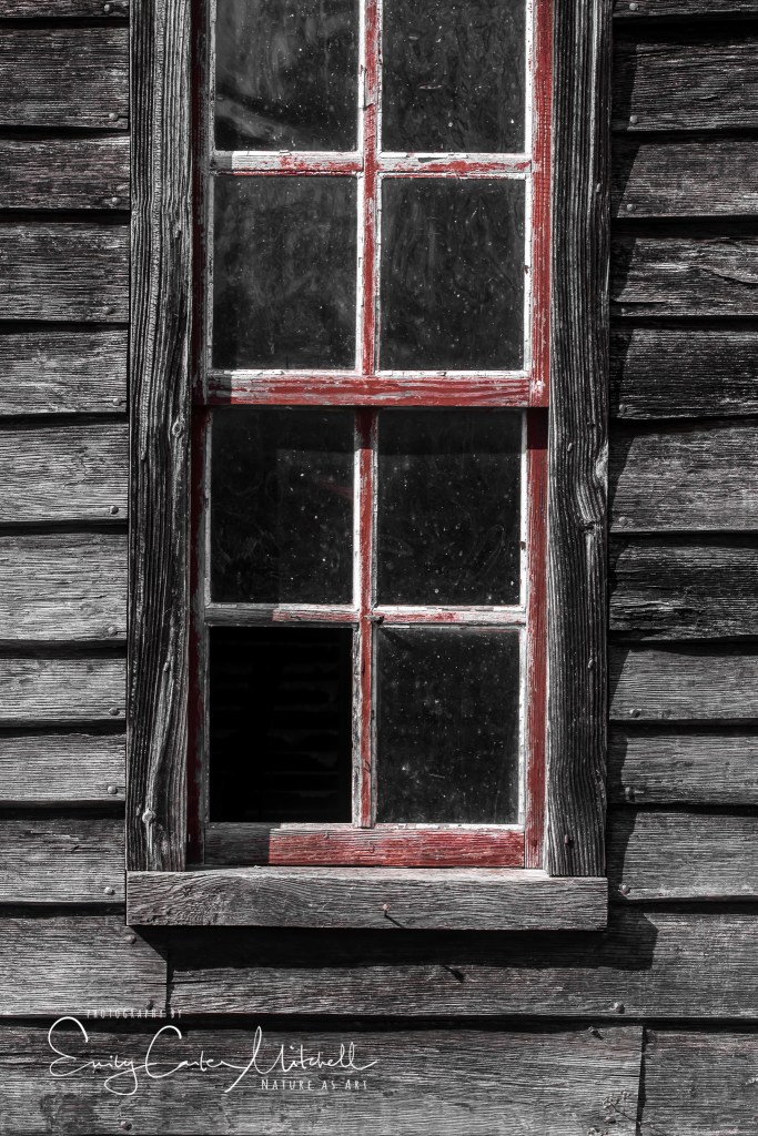 piscataway24feb17-7762