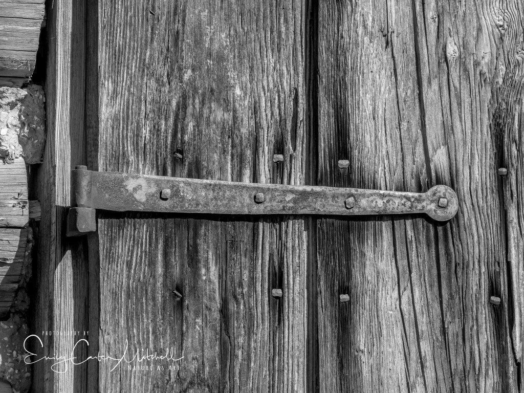 piscataway24feb17-7774