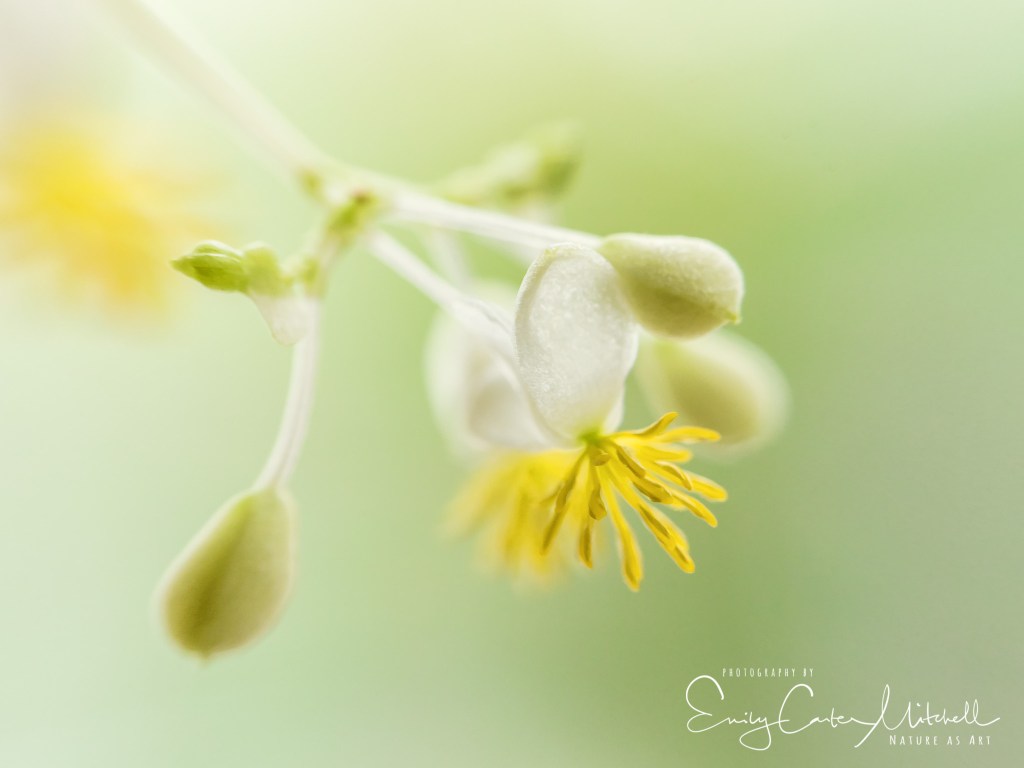 usbg12feb17-6565-edit-edit